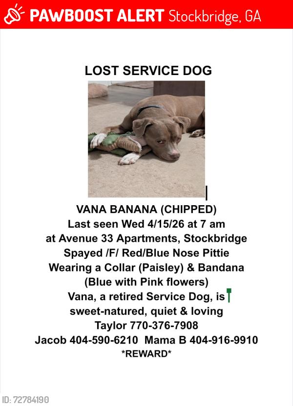 Lost Female Dog last seen Mount Zion Rd , Stockbridge, GA 30281