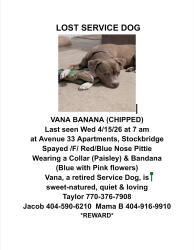 Lost Female Dog last seen Mount Zion Rd , Stockbridge, GA 30281