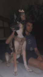 Lost Male Dog last seen Near Oxford Ranch Ct, Waxahachie Tx 75167, Waxahachie, TX 75167