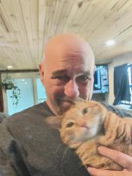 Lost Male Cat last seen Grandin Road , Lenoir, NC 28645