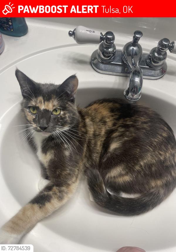 Lost Female Cat last seen by tracy park , Tulsa, OK 74120