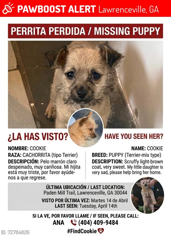 Lost Female Dog last seen Paden mill , Lawrenceville, GA 30044