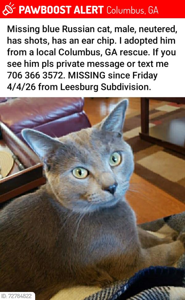 Lost Male Cat last seen Warm Springs Rd and Jamestown Dr near Salvation Army, Columbus, GA 31909