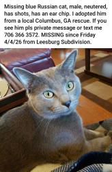 Lost Male Cat last seen Warm Springs Rd and Jamestown Dr near Salvation Army, Columbus, GA 31909