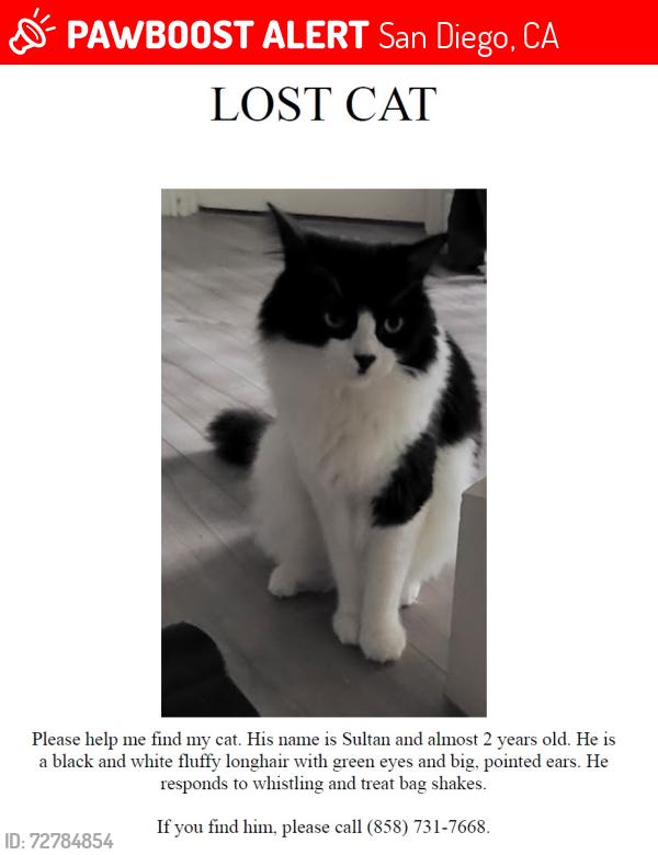 Lost Male Cat last seen Ralphs Ranch Road and Eagle Canyon Rd, San Diego, CA 92127