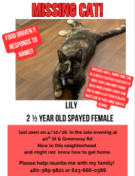 Lost Female Cat last seen  Off 40th st & greenway in Elara apmts or surrounding area , Phoenix, AZ 85032