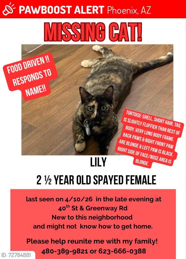 Lost Female Cat last seen  Off 40th st & greenway in Elara apmts or surrounding area , Phoenix, AZ 85032