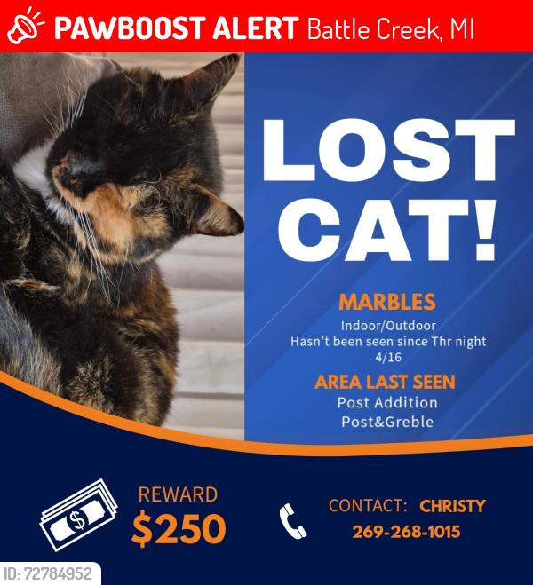 Lost Female Cat last seen Post&Greble, Battle Creek, MI 49014