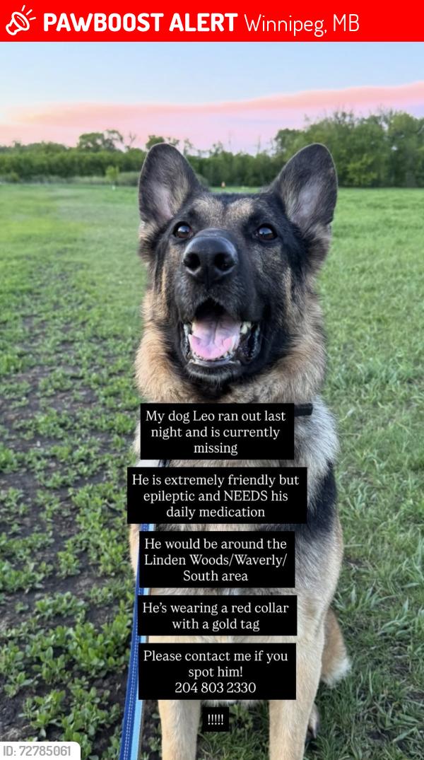 Lost Male Dog last seen Lindenwoods, Winnipeg, MB 