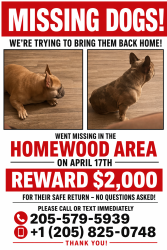 Lost Male Dog last seen Robert jemison Rd, Birmingham, AL 35209