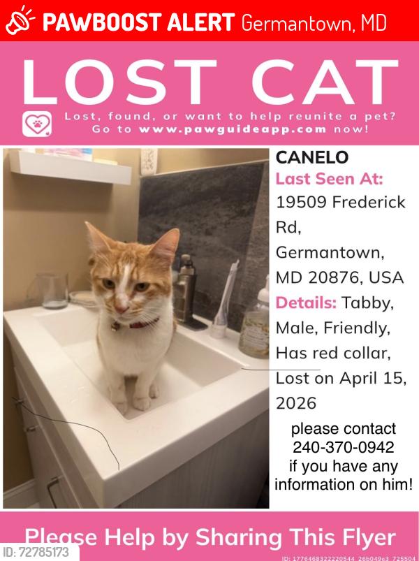 Lost Male Cat last seen Gunners branch , Germantown, MD 20876