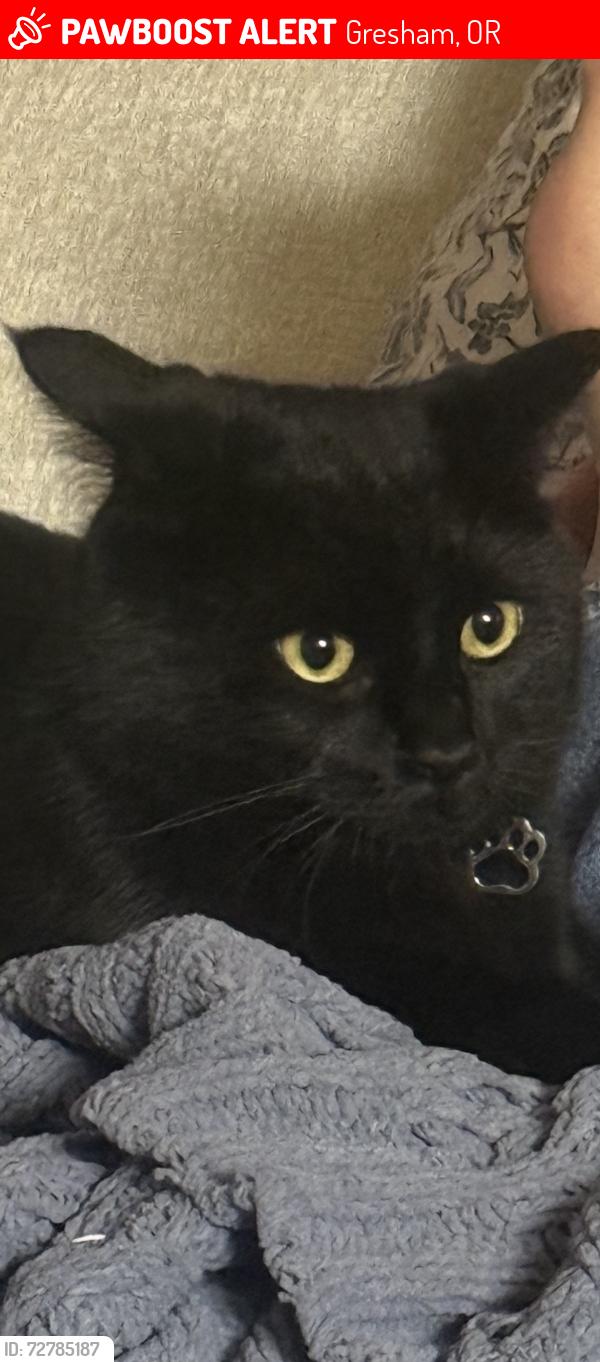 Lost Male Cat last seen , Gresham, OR 97080