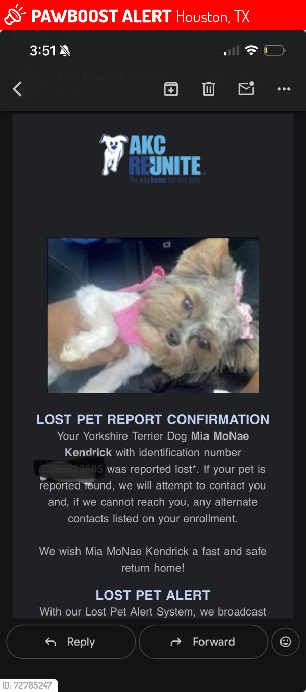 Lost Female Dog last seen Dow road , Houston, TX 77040
