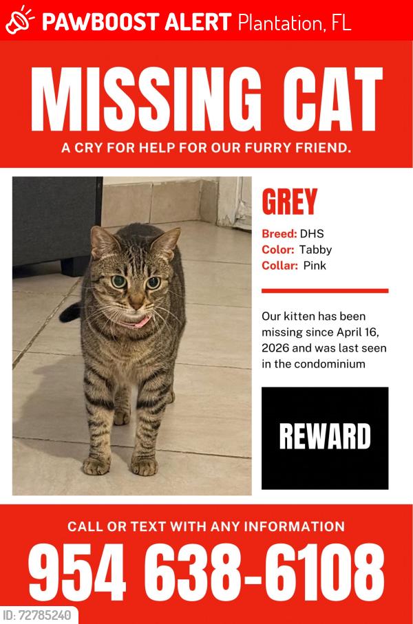 Lost Female Cat last seen Near to clearly Blv and Hiatus inside of the cndmnium Jacaranda Lakes , Plantation, FL 33324
