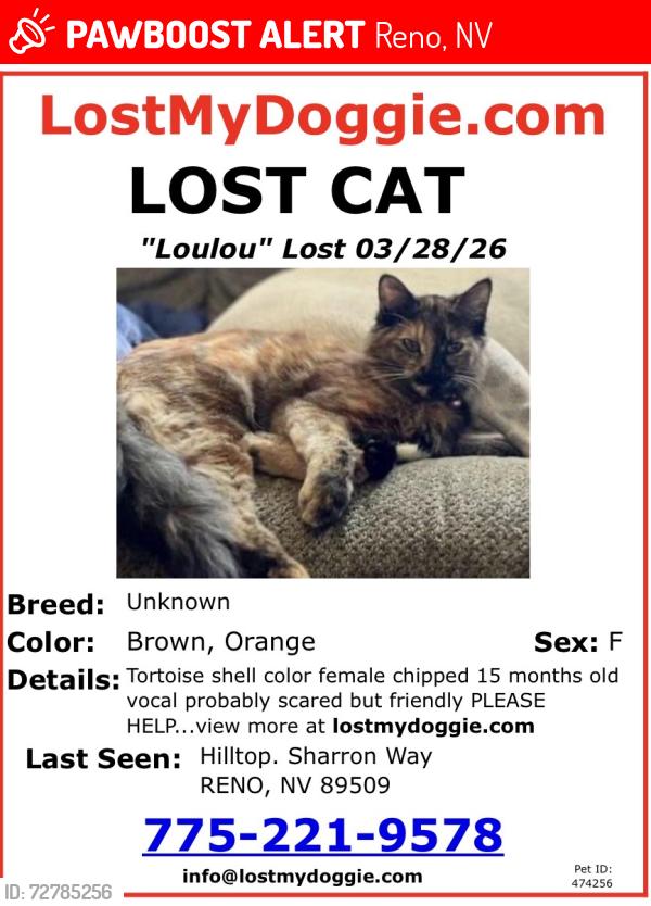 Lost Female Cat last seen Sharron way , Reno, NV 89509