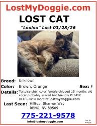 Lost Female Cat last seen Sharron way , Reno, NV 89509