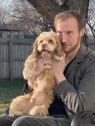Lost Male Dog last seen South crescent lane and Cumberland road, Aurora, IL 60504