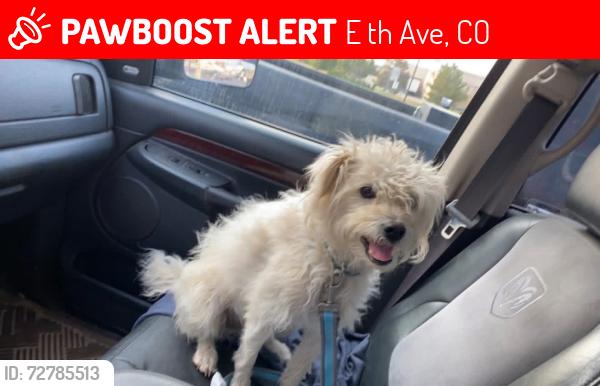 Lost Male Dog last seen 96th Ave and Strasburg Rd, Strasburg, CO 80136