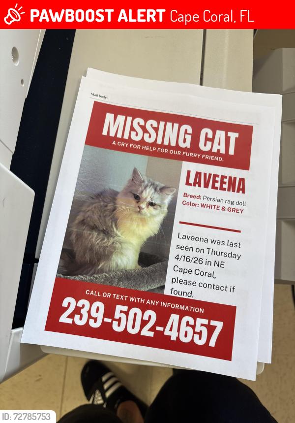 Lost Female Cat last seen Ne Cape Coral , Cape Coral, FL 33909