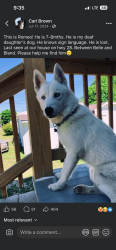 Lost Male Dog last seen Bland, mo, Belle, MO 65013