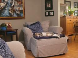 Lost Male Cat last seen San leandro street , Oakland, CA 94601