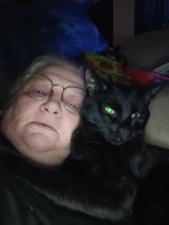 Lost Male Cat last seen belle grove rd and 5th ave, Brooklyn Park, MD 21225