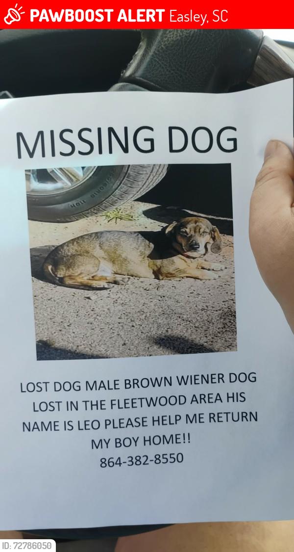 Lost Male Dog last seen East A street easley sc, Easley, SC 29640