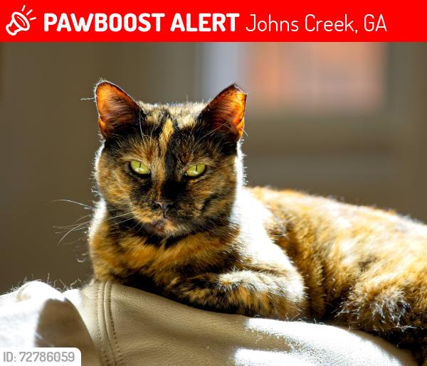 Lost Female Cat last seen Kimball Parc Court, Kimball Parc Way, Johns Creek, GA 30022