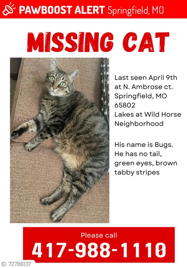 Lost Male Cat last seen Lakes at wildhorse neighborhood , Springfield, MO 65802