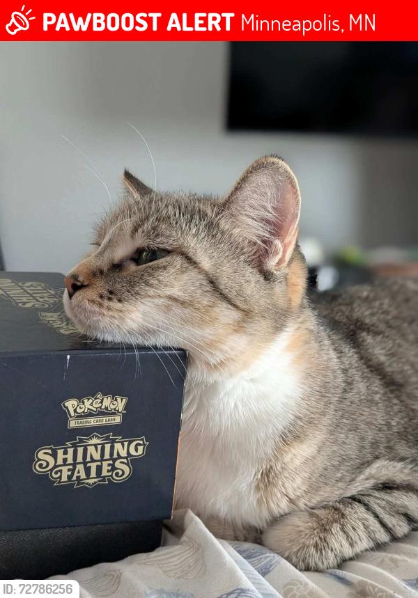 Lost Female Cat last seen Hid in the bushes at speedway on Brooklyn blvd, Minneapolis, MN 55429