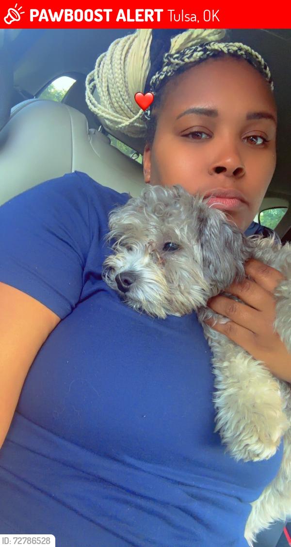 Lost Male Dog last seen 31st Ellen Ochoa Elementary , Tulsa, OK 74146