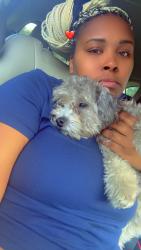 Lost Male Dog last seen 31st Ellen Ochoa Elementary , Tulsa, OK 74146