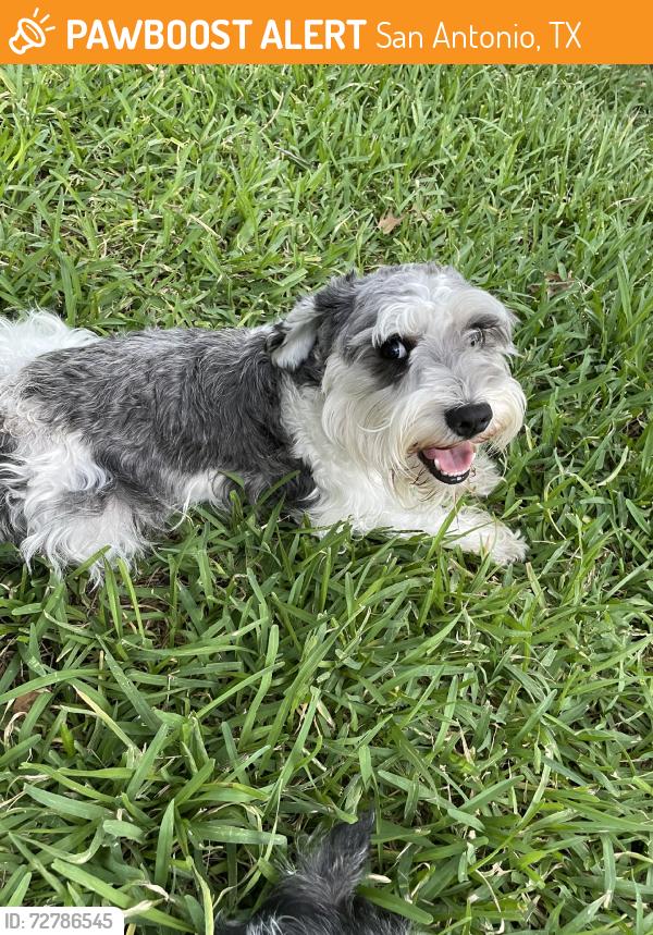 Found/Stray Male Dog last seen IH 90, San Antonio, TX 78252