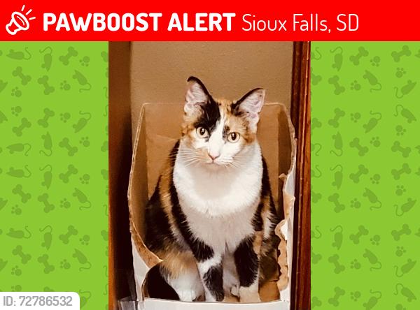 Lost Female Cat last seen Starlite Estates, Sioux Falls, SD 57104