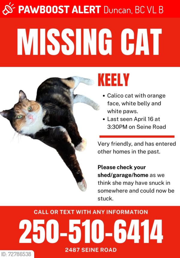 Lost Female Cat last seen Timbercrest Area in Seine Road, Duncan, BC V9L 3B3