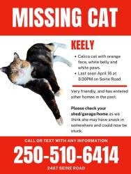 Lost Female Cat last seen Timbercrest Area in Seine Road, Duncan, BC V9L 3B3