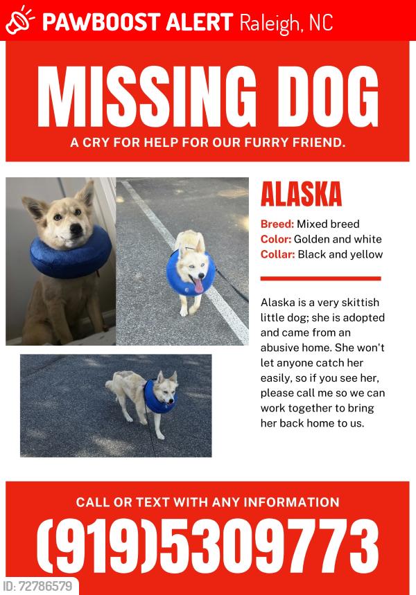 Lost Female Dog last seen Bacarra , Raleigh, NC 27606