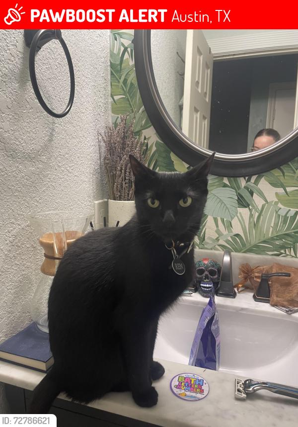 Lost Female Cat last seen Grovedale Trail & Irby Pass, Austin, TX 78729