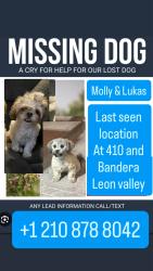 Found/Stray Female Dog last seen Watercress , San Antonio, TX 78238