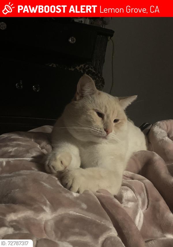 Lost Male Cat last seen Mount Vernon st and peppermint st near to the berry park in lemon grove , Lemon Grove, CA 91945
