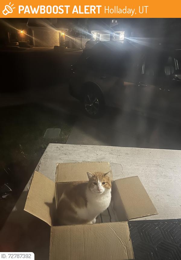 Found/Stray Unknown Cat last seen Rainbow point drive , Holladay, UT 84124