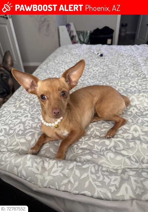 Lost Female Dog last seen Near W. Albeniz Pl , Phoenix, AZ 85043