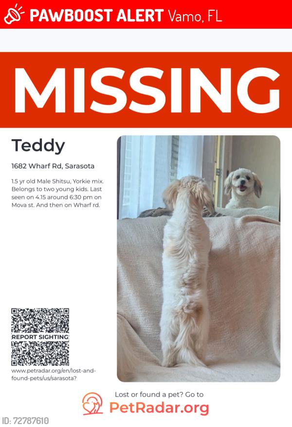 Lost Male Dog last seen Walgreens, Bee Ridge, FL 34233