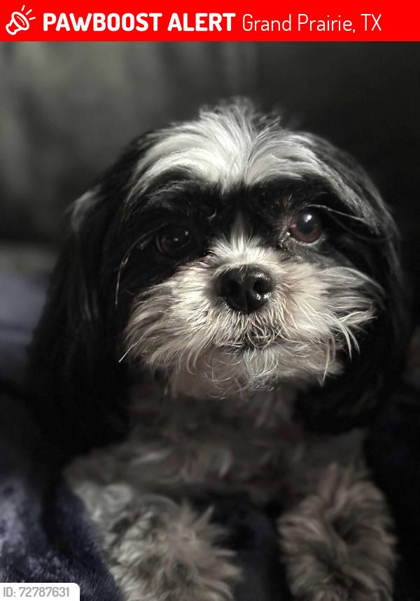 Lost Female Dog last seen S Carrier Pkwy, Grand Prairie, TX 75052