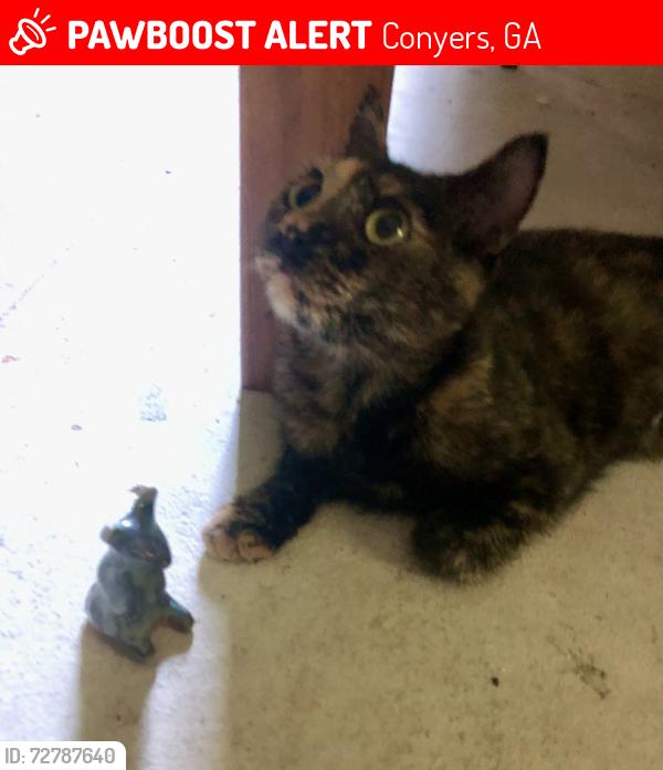 Lost Female Cat last seen Hi roc and carr st, Conyers, GA 30012