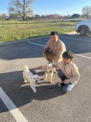 Lost Male Dog last seen Near south Moore road, Chattanooga, TN 37412