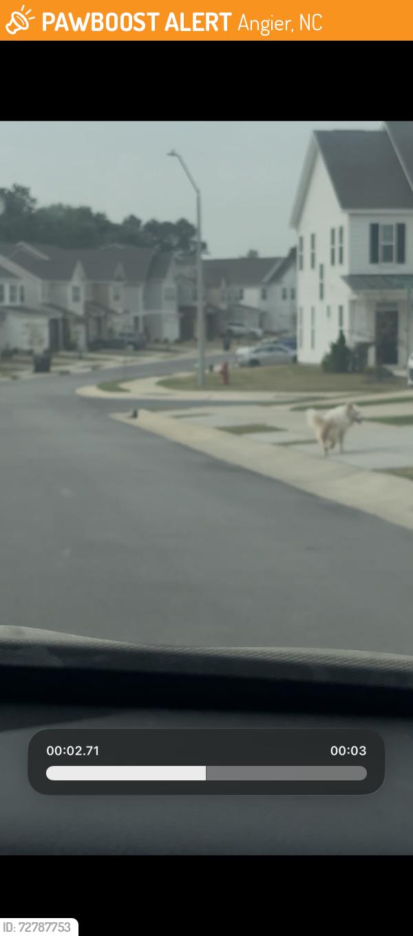 Found/Stray Male Dog last seen Buford way , Angier, NC 27501