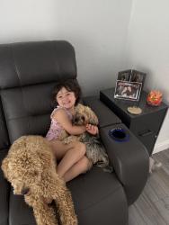 Lost Female Dog last seen Near sw 48 st, Miami, FL 33165