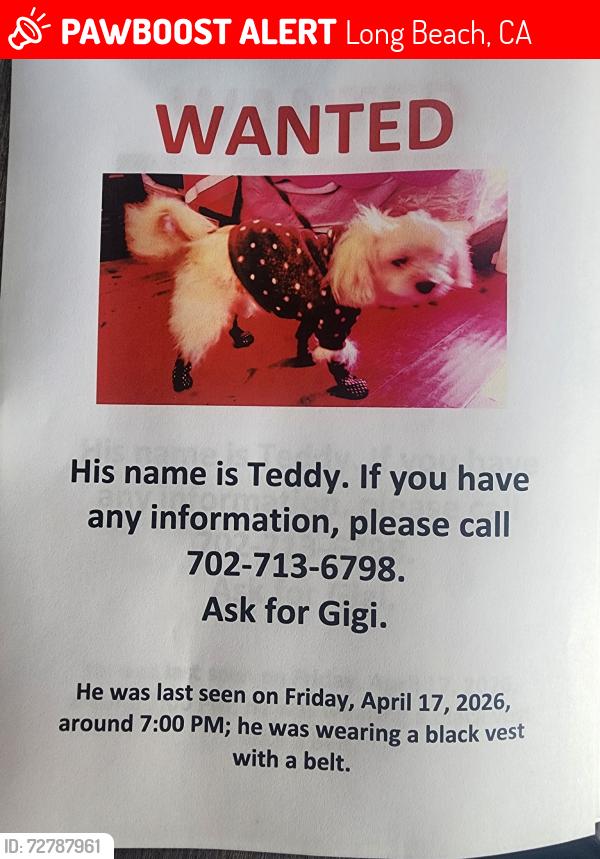 Lost Male Dog last seen Rose Ave between 4th Street and 7th Street , Long Beach, CA 90814