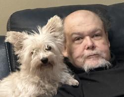 Lost Female Dog last seen Ambleside and Sandalwood , Columbus, OH 43229